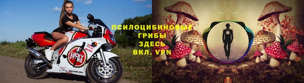 ALPHA PVP Горнозаводск