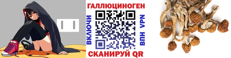 Псилоцибиновые грибы GOLDEN TEACHER  Кисловодск 